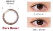 画像4: ワンデーアイレリアル UV トーリック （乱視用）　30枚入り【1日タイプ】 (4)